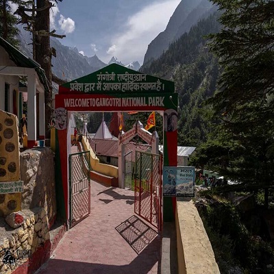 gangotri-national-park-shikhar-22