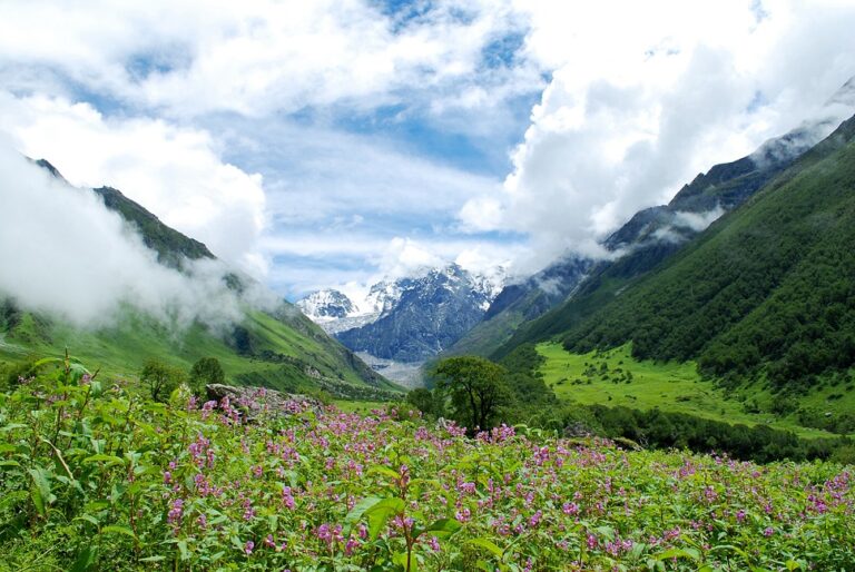 Valley of Flowers Trek: A Paradise for Nature Lovers