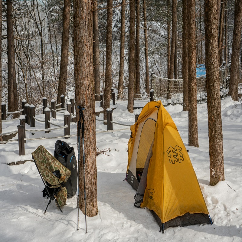 chaewul-kim-PEZXE2bzAsc-unsplash